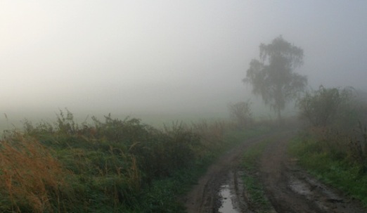 Mlha na cestě