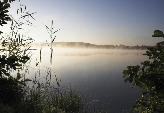 Mlha nad rybníkem