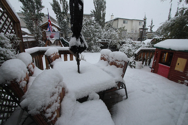 Sněžení v Calgary