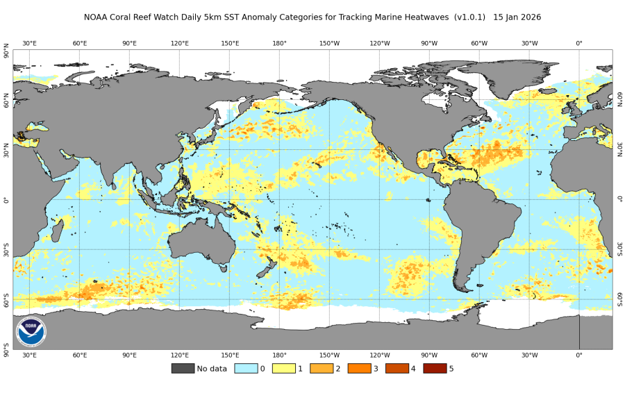  aktuální výskyt mořských horkých vln 