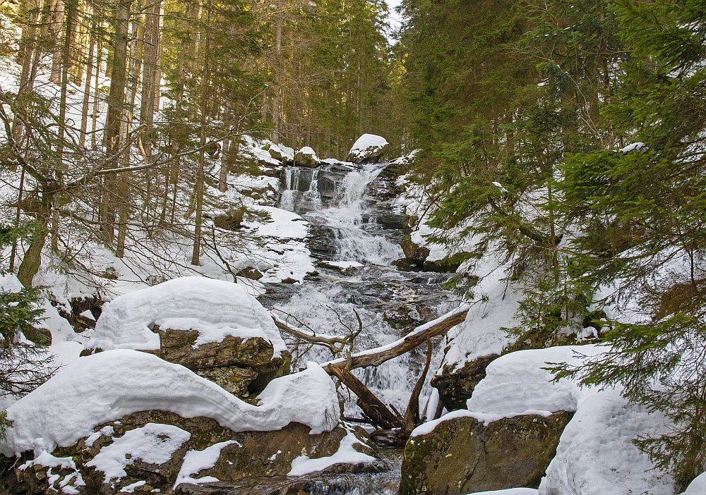 Šumava