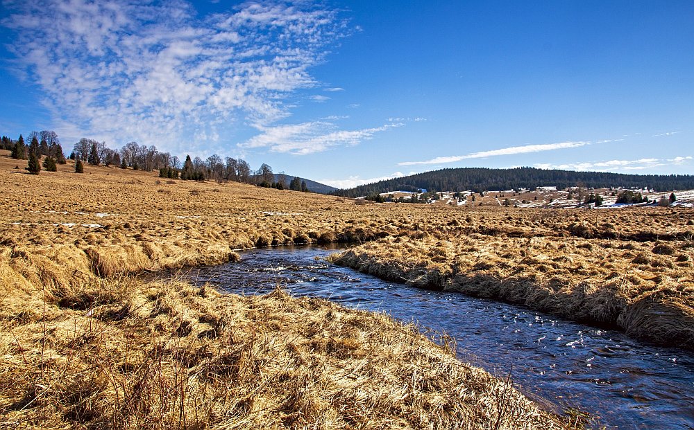 Kepelské Zhůří - Šumava