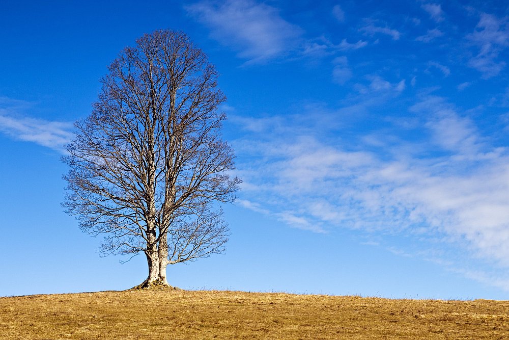 Kepelské Zhůří - Šumava