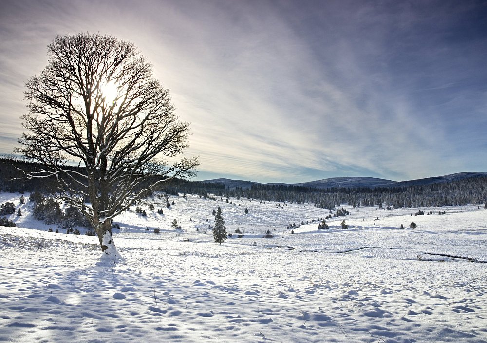 Kepelské Zhůří - Šumava