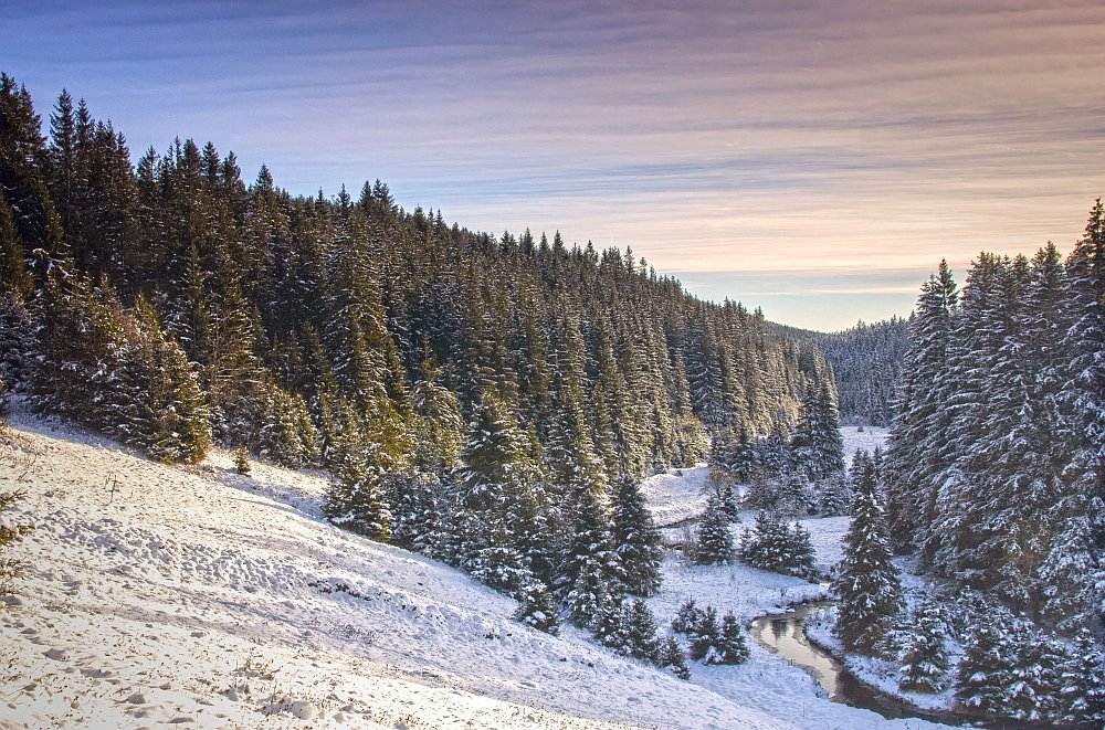 Kepelské Zhůří - Šumava