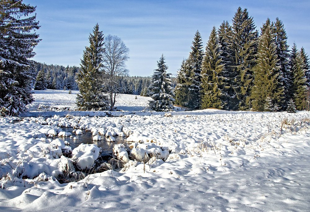 Kepelské Zhůří - Šumava
