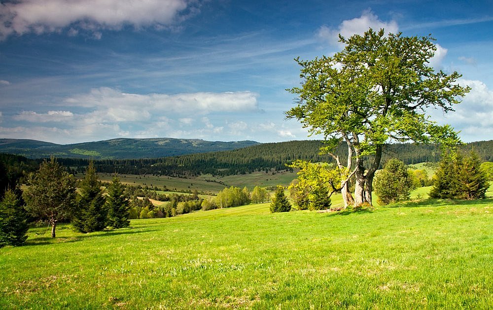 Kepelské Zhůří - Šumava