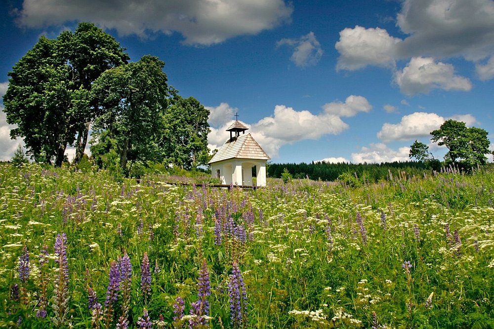 Kepelské Zhůří - Šumava