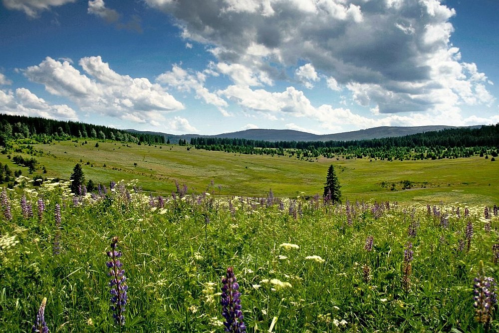 Kepelské Zhůří - Šumava