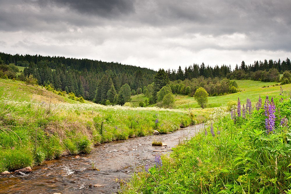 Kepelské Zhůří - Šumava