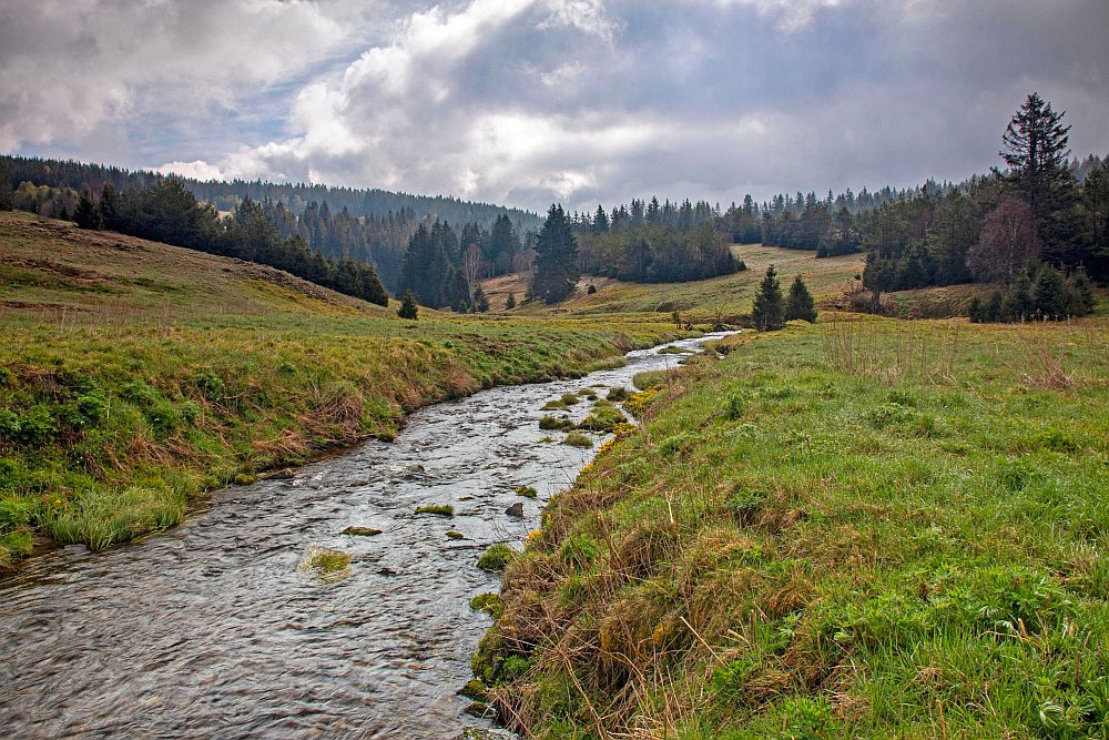 Kepelské Zhůří - Šumava