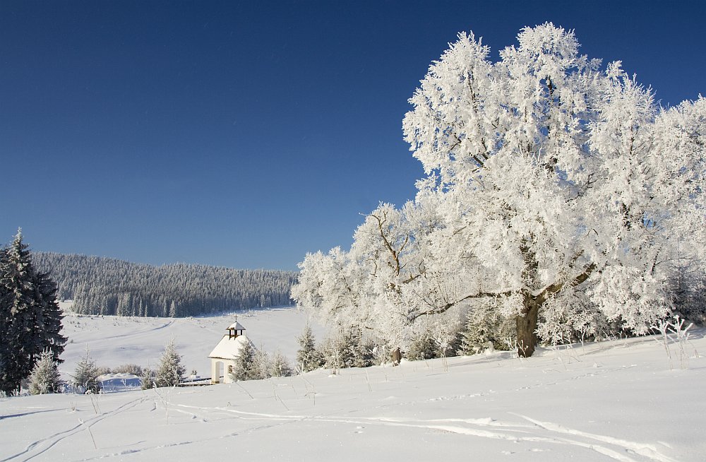 Kepelské Zhůří - Šumava