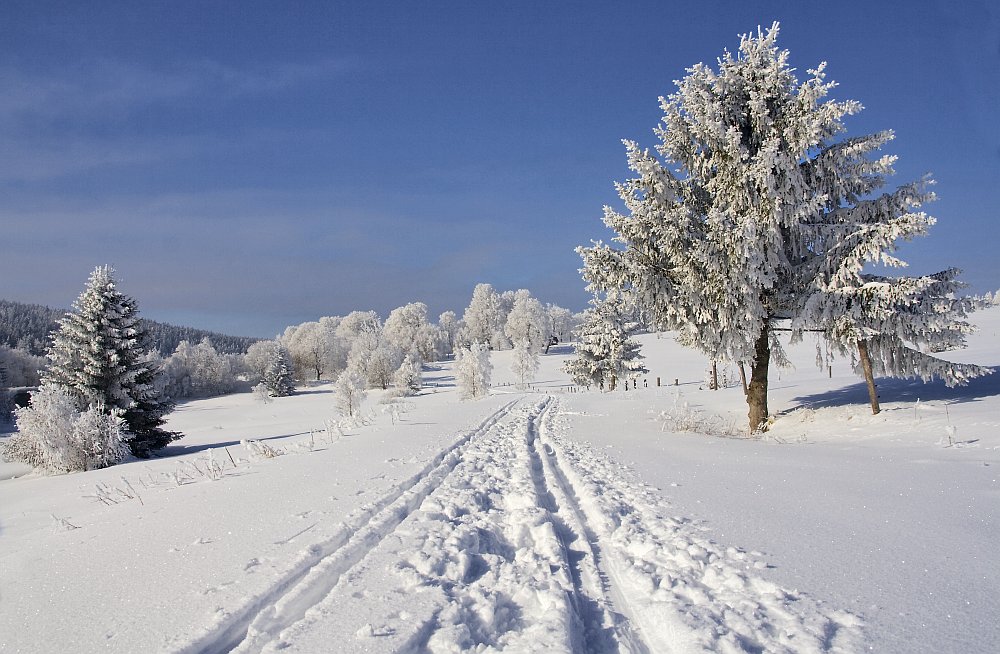 Kepelské Zhůří - Šumava