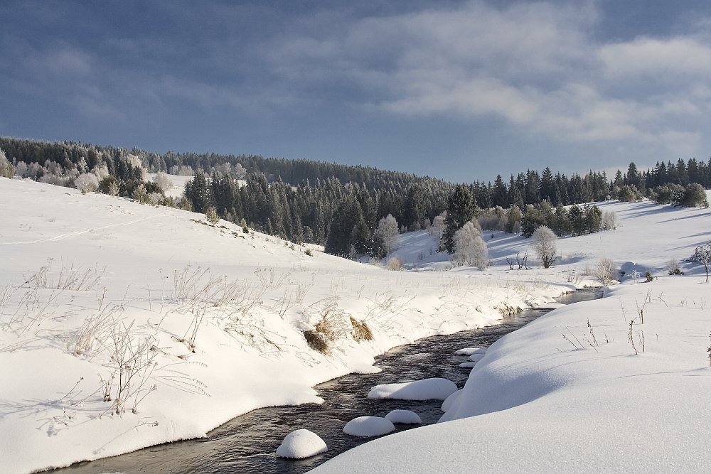 Kepelské Zhůří - Šumava