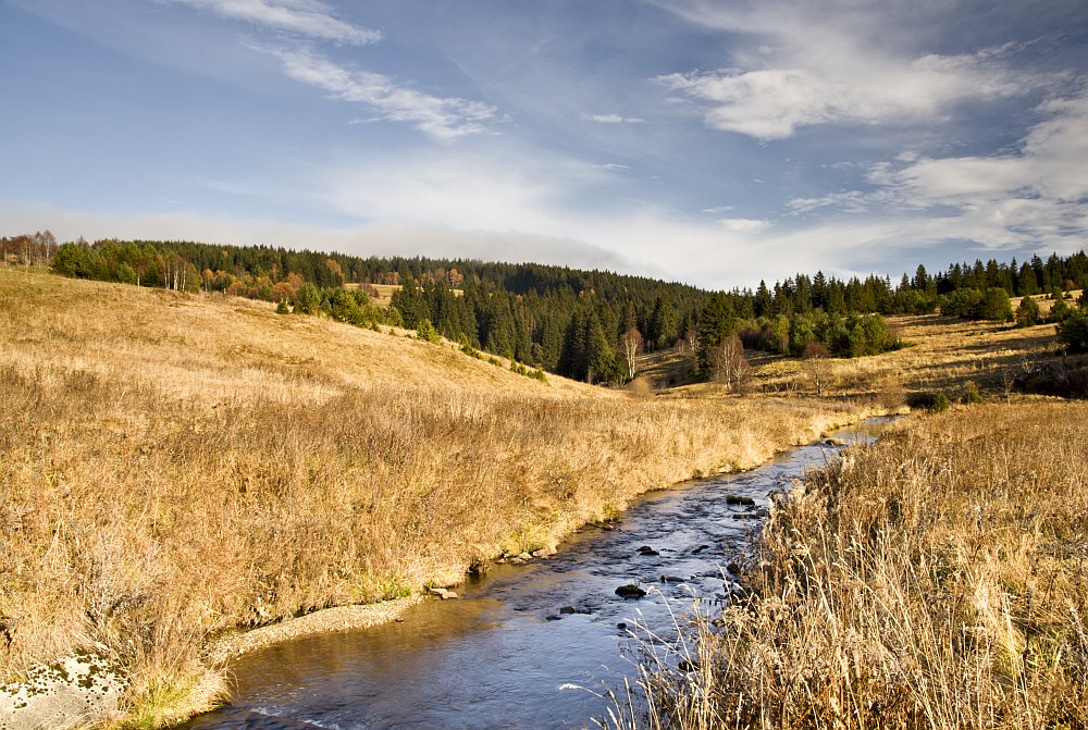 Kepelské Zhůří - Šumava