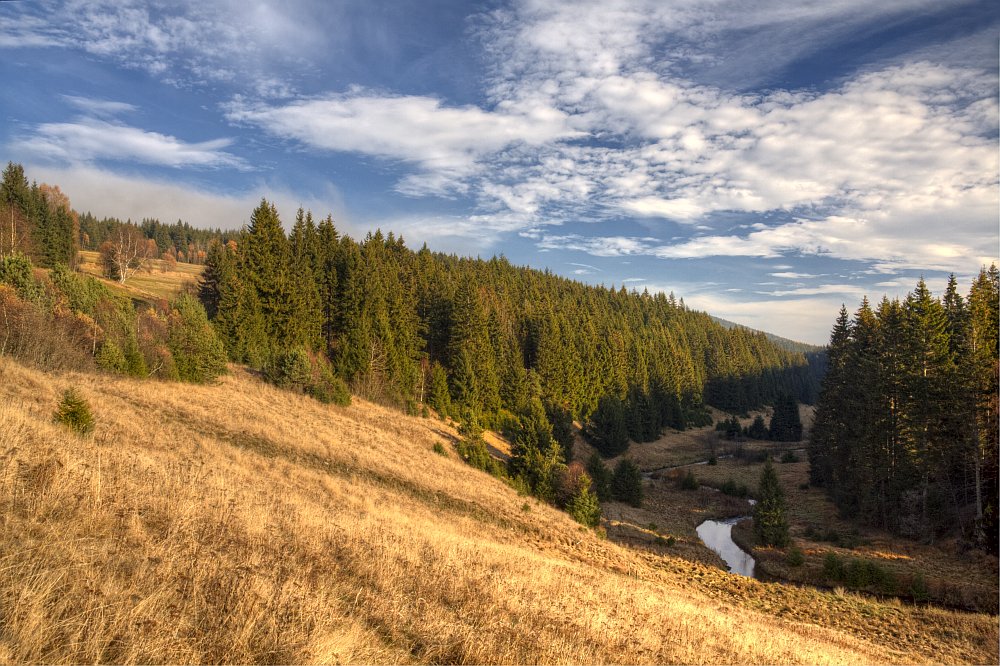 Kepelské Zhůří - Šumava