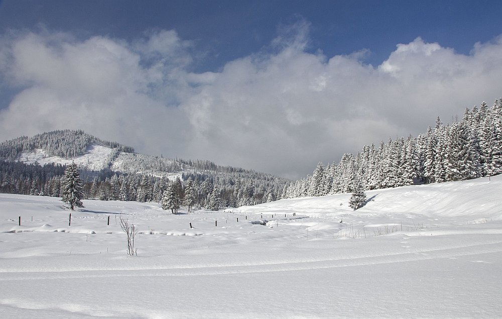 Šumava - březnový sníh