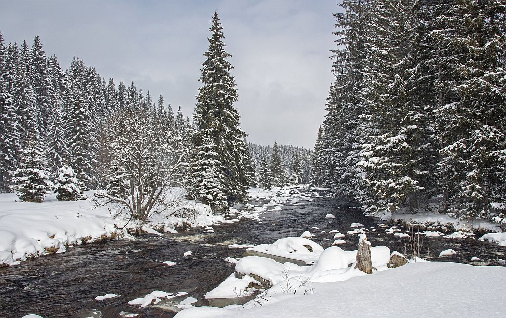 Šumava - březnový sníh