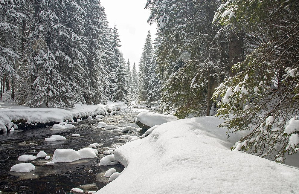 Šumava - březnový sníh