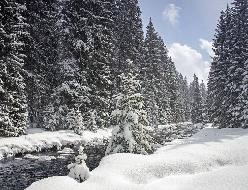 Šumava - březnový sníh