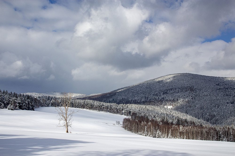Šumava - březnový sníh