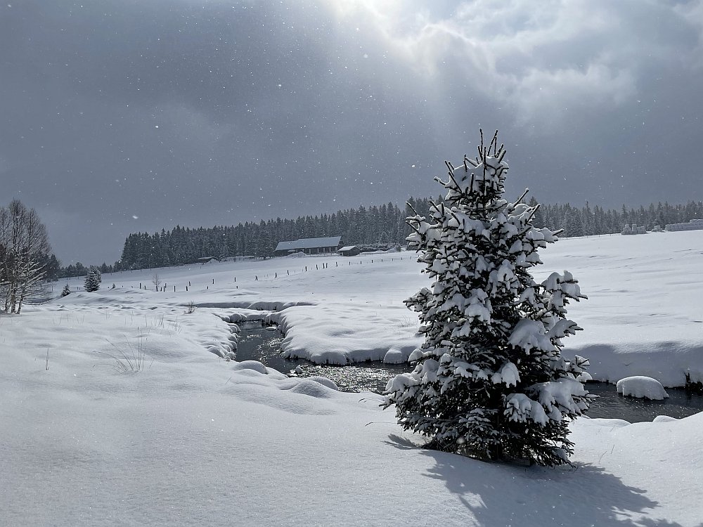 Šumava - březnový sníh