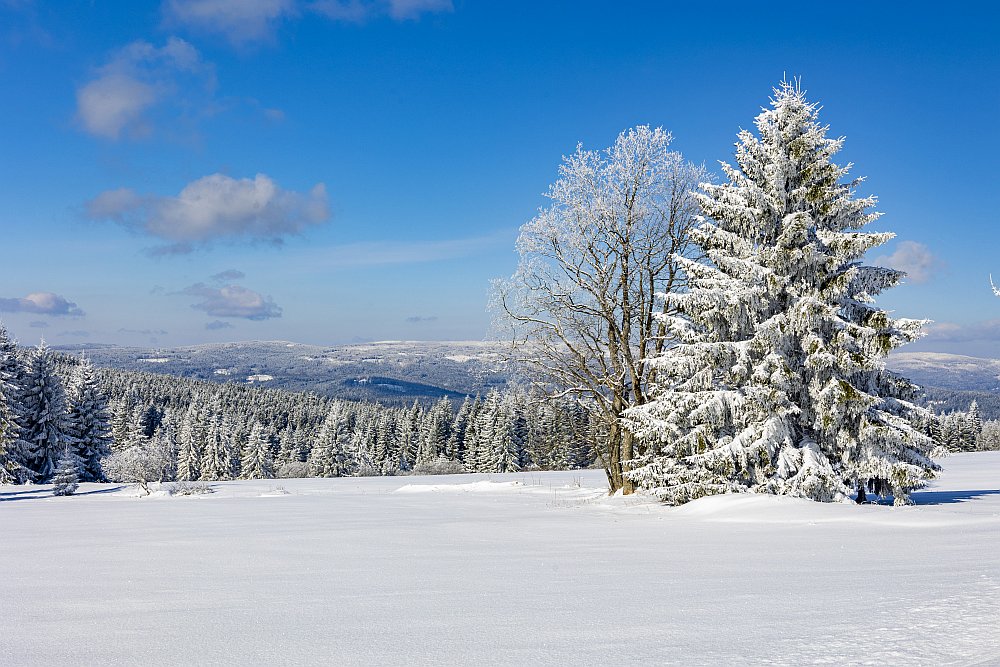 Šumava - sníh