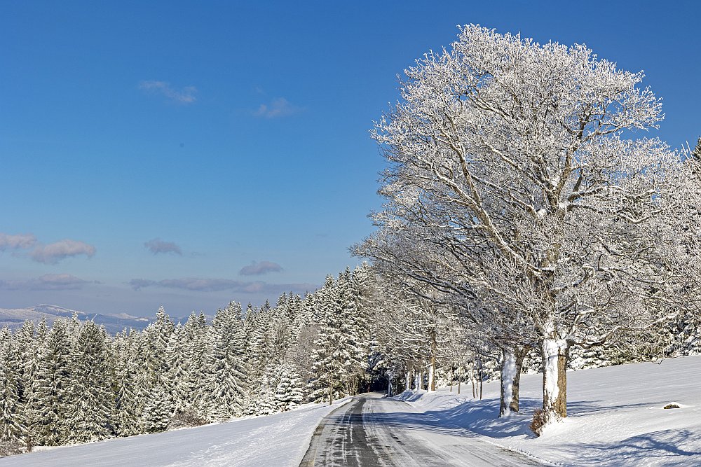 Šumava - sníh