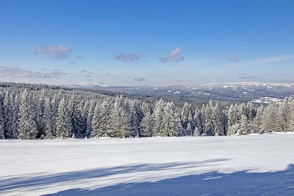 Šumava - sníh