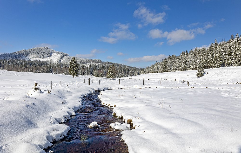 Šumava - sníh