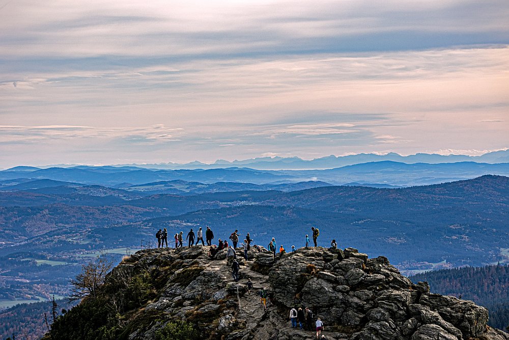 Alpy z Velkého Javora