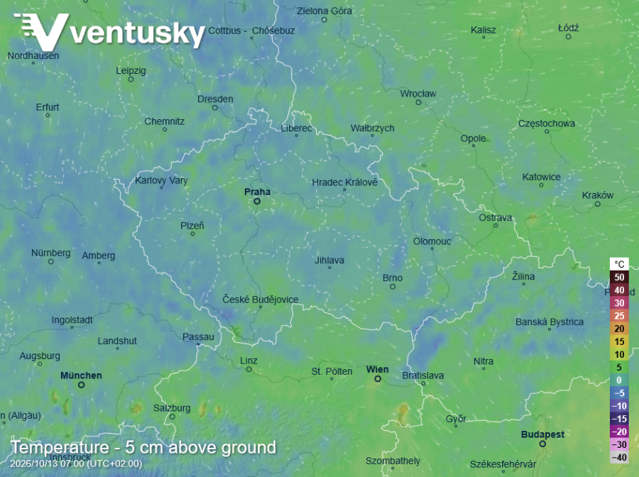 Mrazíky