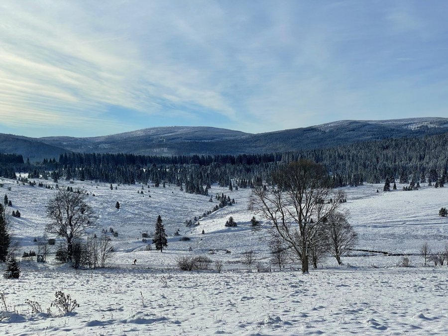 Šumava