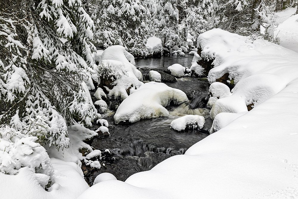 Šumava - sníh