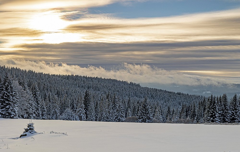 Šumava - sníh
