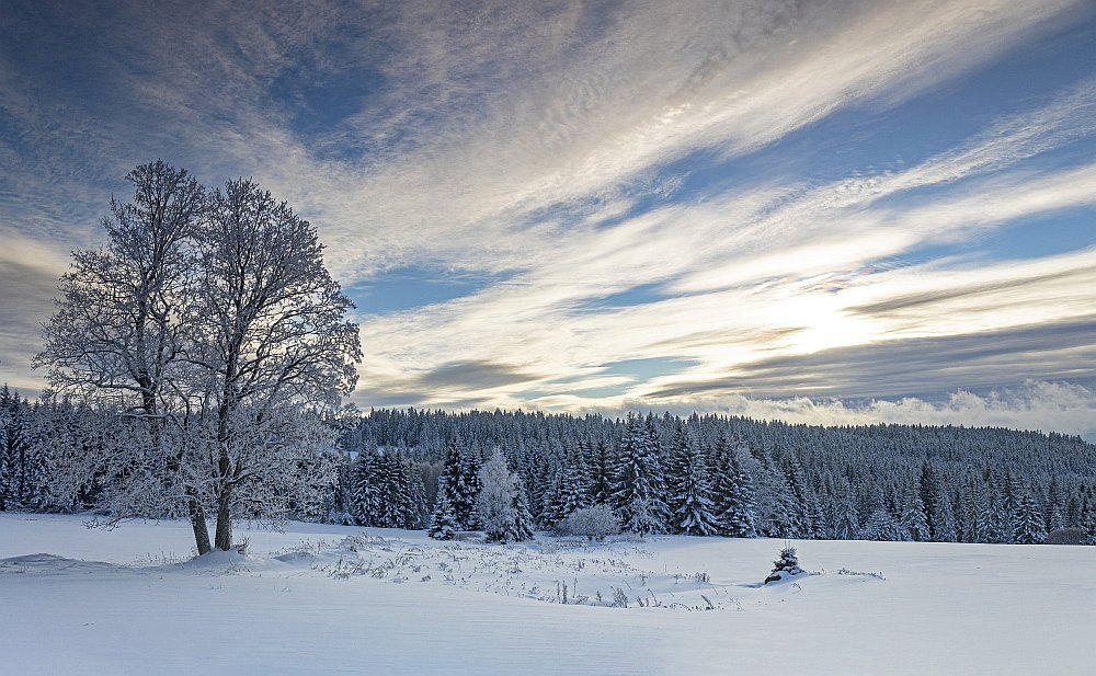 Šumava - sníh