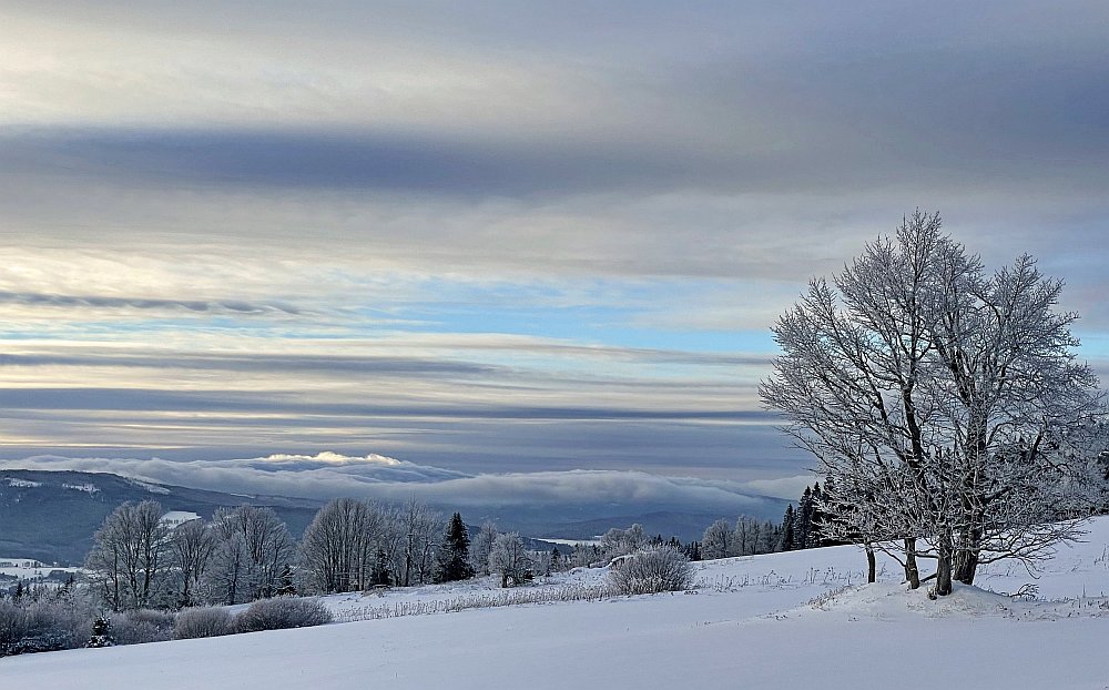 Šumava - sníh
