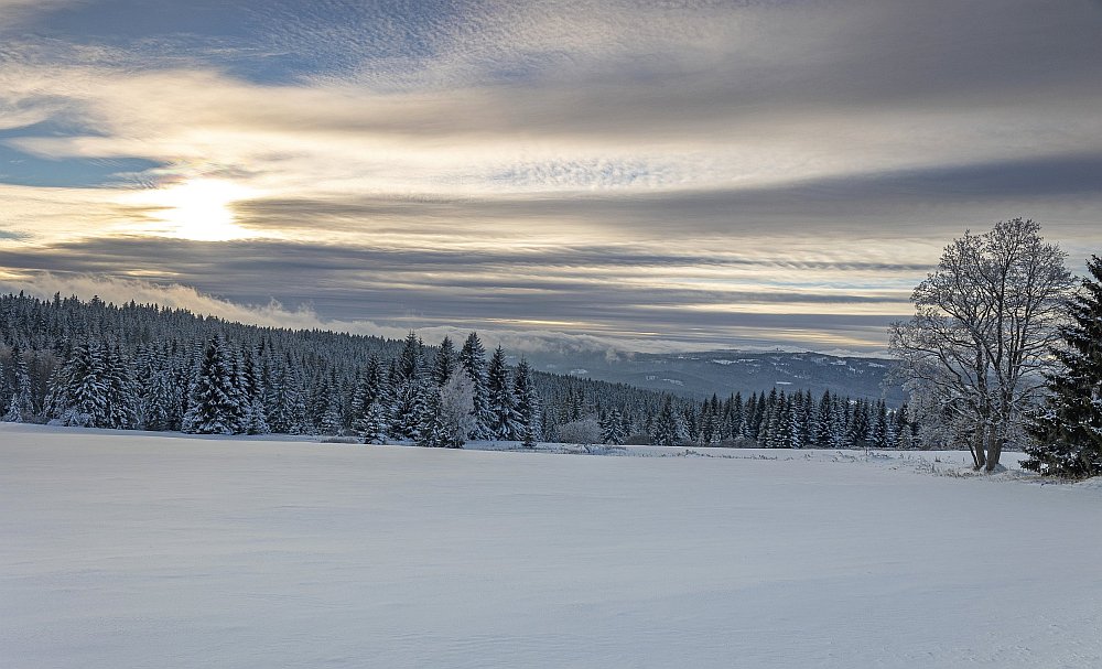 Šumava - sníh