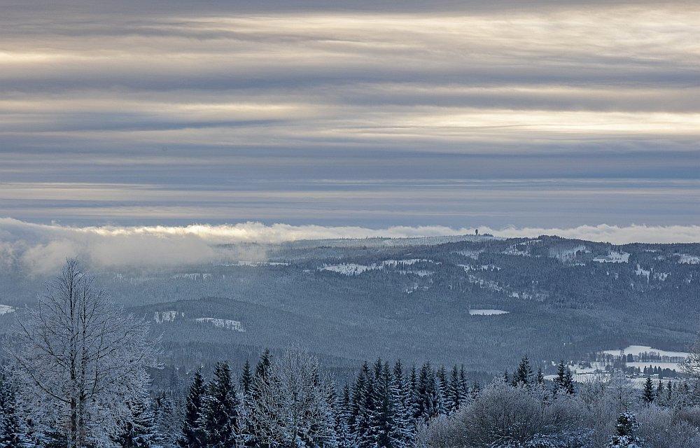 Šumava - sníh