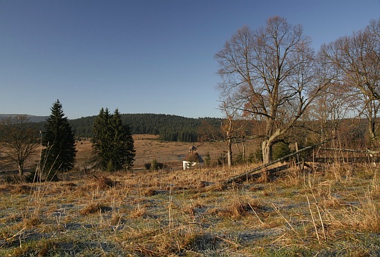 Šumava