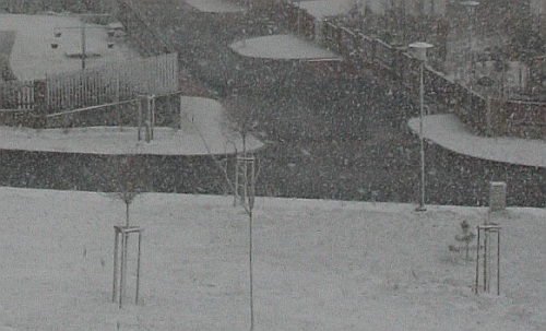 Sněžení v Plzni