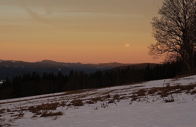 Šumava