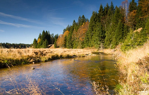 Šumava