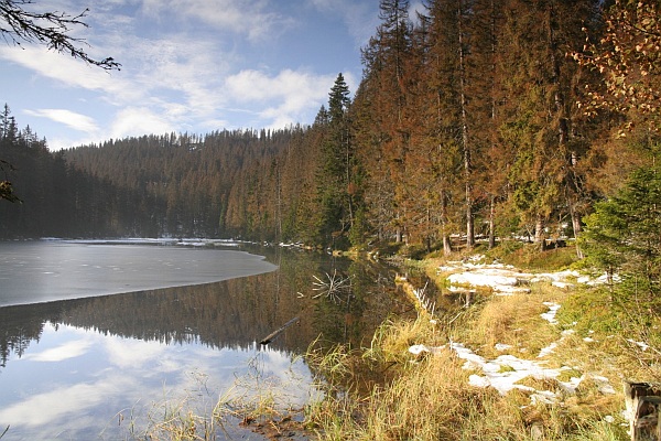 Šumava