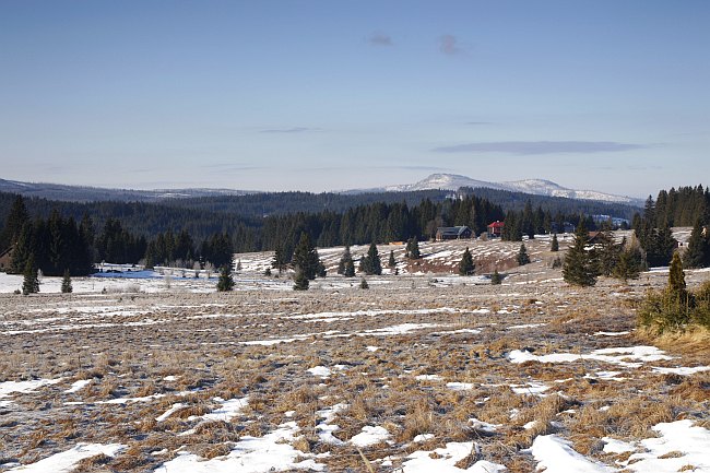 Šumava