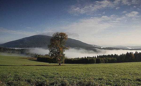 Šumava