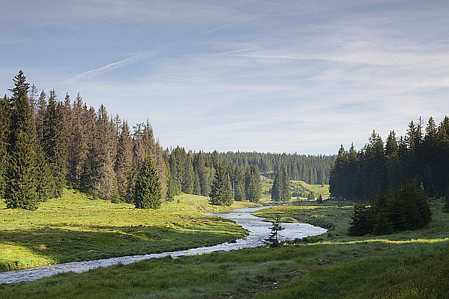 Šumava