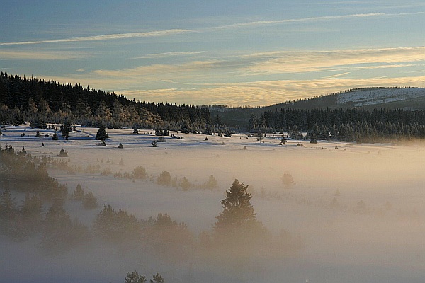 Šumava