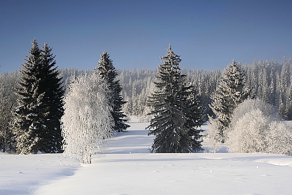 Sníh - Šumava
