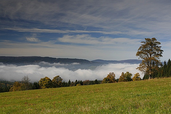 Šumava